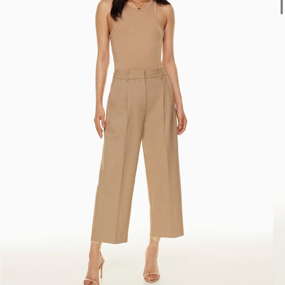 Aritzia Wide-Leg High-Rise Trousers in Tan